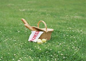 東京都渋谷区恵比寿のシーシャ専門店