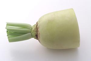 本格ベトナム料理を楽しむなら「ヴェトナム アリス」