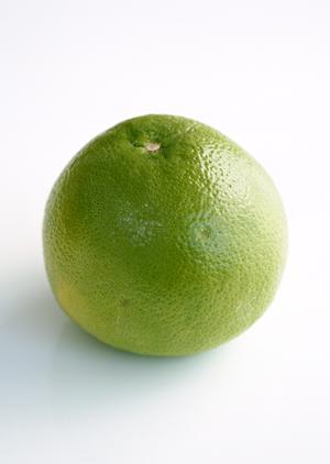 「リフレッシュの森」で体験する健康的な断食ダイエット合宿の魅力【完全ガイド】