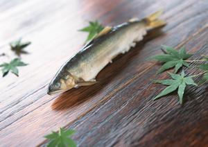 大阪のお好み焼き専門店「ぼてぢゅう」グループの魅力と店舗情報