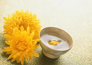 恵比寿で人気の水タバコ喫茶店！