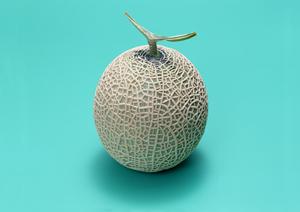 ドイツのソーセージを取り寄せできるお店